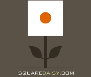 square daisy logo
